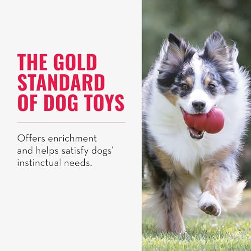 KONG Pet Toy in X-Large(2-Pack), Red