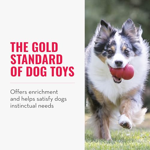 KONG Pet Toy in Small(2-Pack), Red