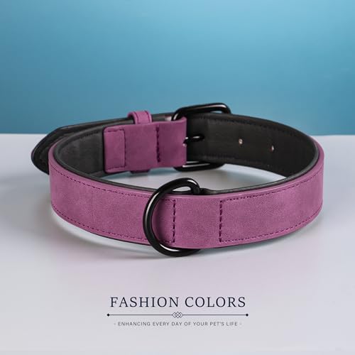 Didog Animal Collar in M: Fit Neck 11-14"(10-20 lbs), Purple