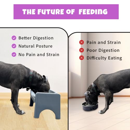 Fluff Trough Pet Feeder in Gray
