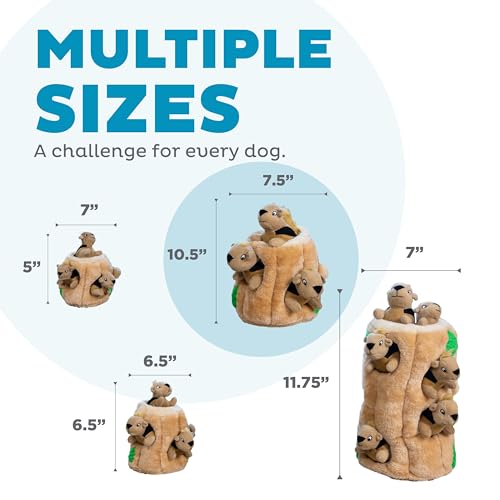 Outward Hound Pet Toy in Large (Pack of 1), Squirrel Large