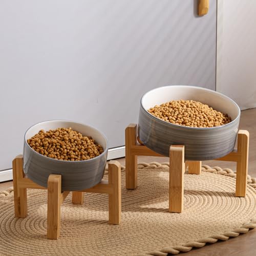 DJJJOOYS Pet Feeder in Slanted Small Dog Bowl, Grey White