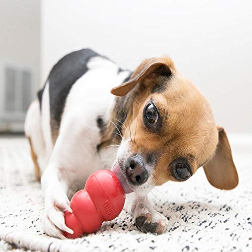 KONG Pet Toy in X-Small, Red
