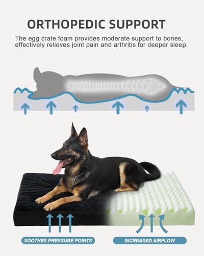 KSIIA Pet Bed Mat in 41.0"L x 27.0"W x 3.0"Th, Black