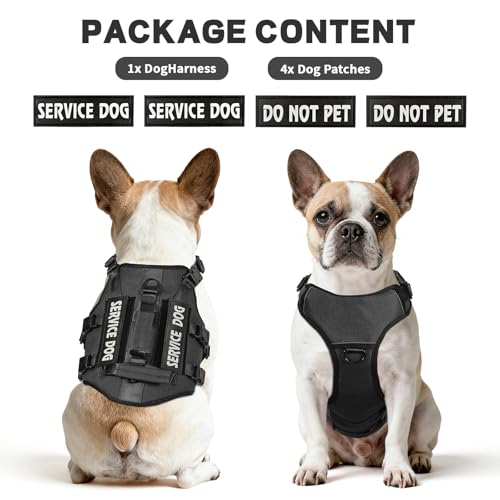Jane Shine Animal Harness in S(Neck:14-18",Chest:17-24"), Black