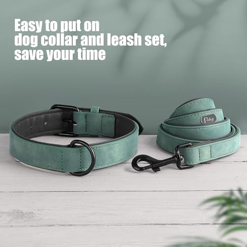Didog Animal Collar in L: Fit Neck 14-18"(22-44 lbs), Green Set