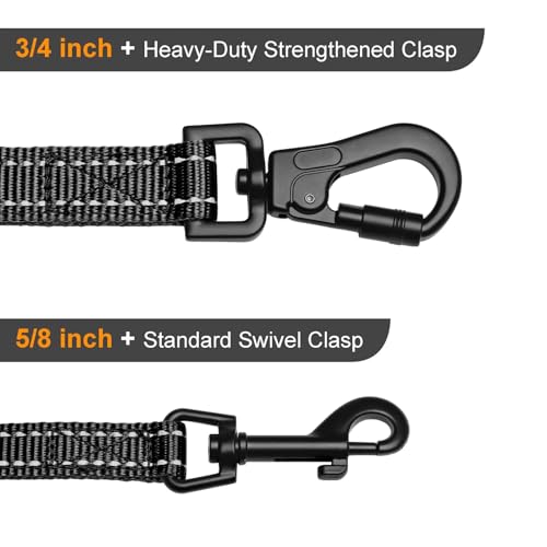 Didog Leash in 3/4''x 4 FT, Black