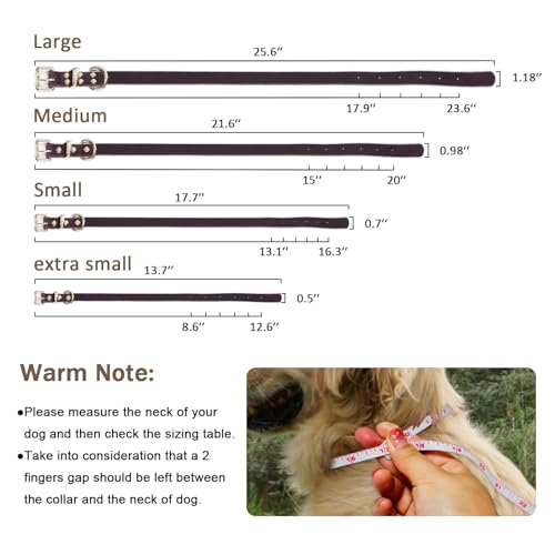 Guiding Star Leash in X-Small, Brown