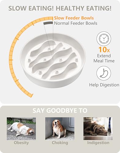 MOPANG Pet Feeder in 8 Inches, White
