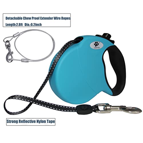 CROWN PAWS Leash in Large, Blue