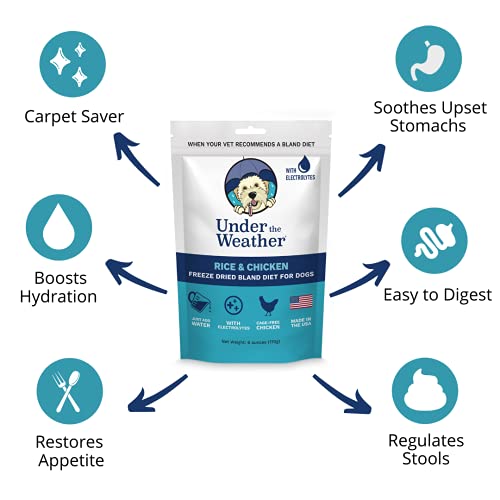 Under the Weather Pet Food in 6 Ounce (Pack of 6)