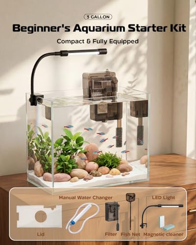 minilake Vivarium in 3 Gallon, Transparent