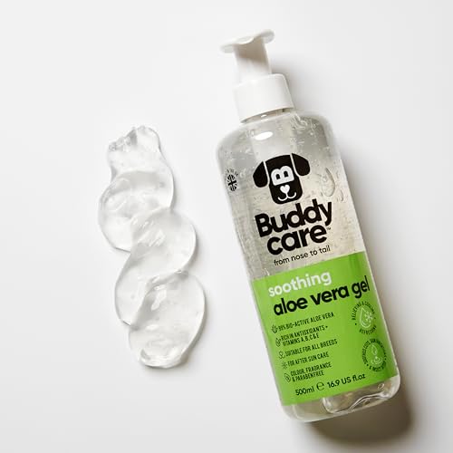 Buddycare Pet Supplies