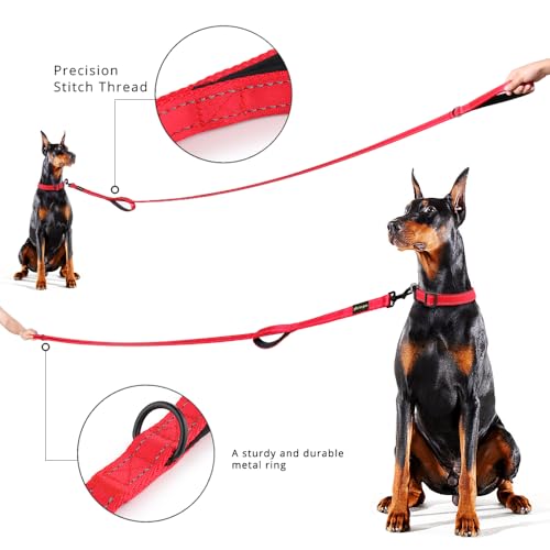 PLUTUS PET Leash in 6 FT, Red
