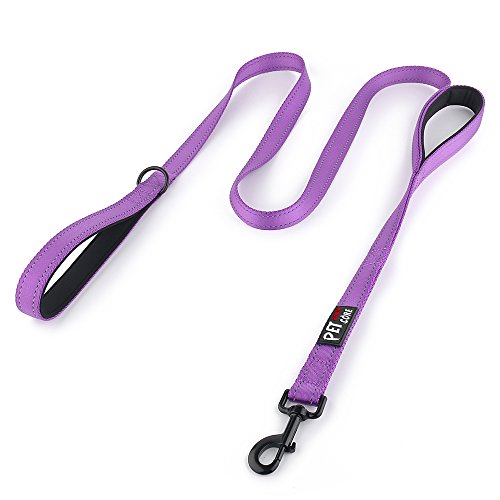 PLUTUS PET Leash in 4 FT, Purple