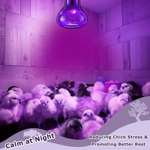 HARTOMPET Light Bulb in 60W - 2.5", Purple