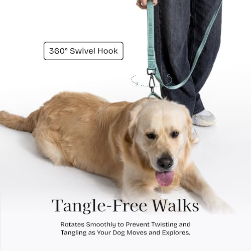 Fei and Eve Leash in 4FT, Glacier Green