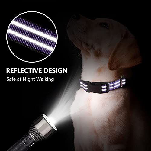 Hikiko Animal Collar in Small, Purple