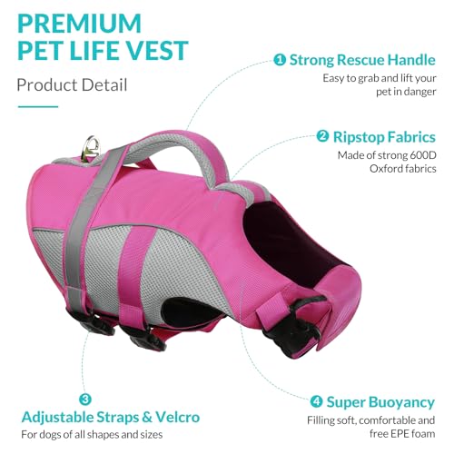 Queenmore Pet Apparel in X-Small, Pink