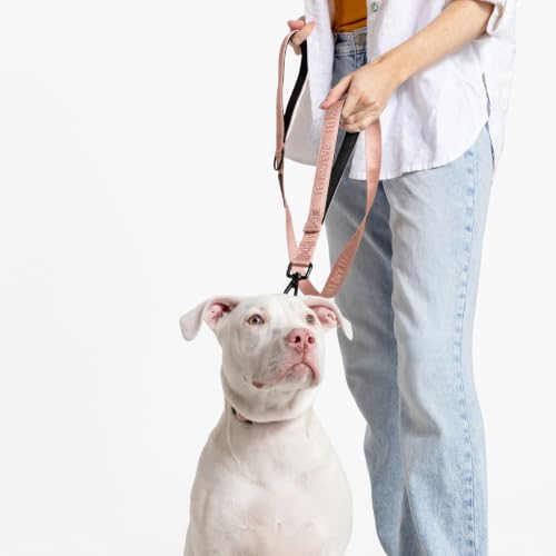 Fei and Eve Leash in 4FT, Blush