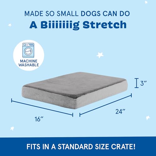 BarkBox Pet Bed Mat in Small, Grey