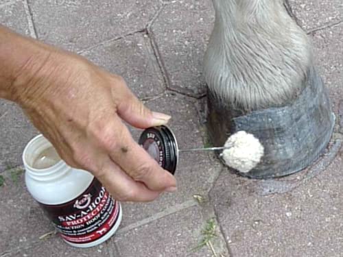 SAV-A-HOOF Pet Supplies in One Size