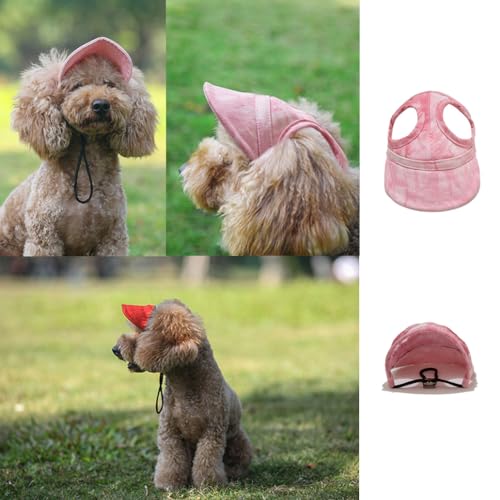 leconpet Pet Apparel in Small, Black