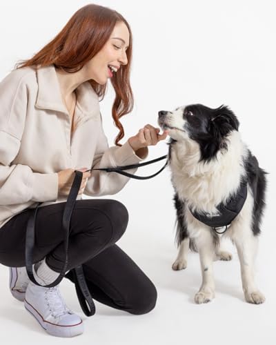 Fei and Eve Leash in 6FT, Black