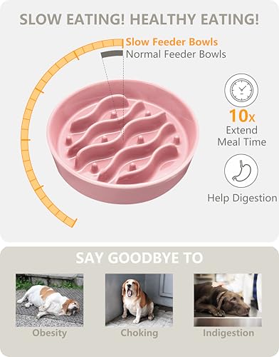 MOPANG Pet Feeder in 6 Inches, Salmon Pink + Stand
