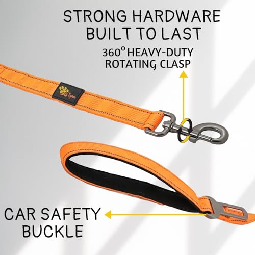 ADITYNA Leash in 6ft-7.5ft, Orange