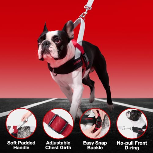 VETRESKA Animal Harness in XS(Chest: 16.9"-22"), Circuit