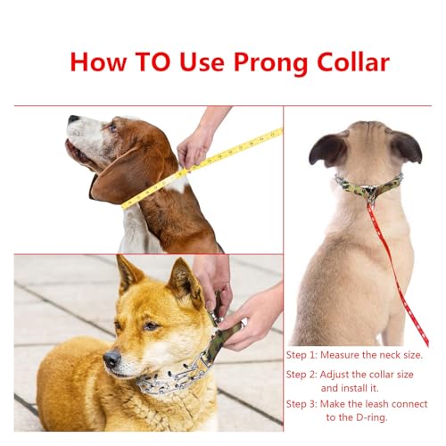 Aheasoun Animal Collar in M, 3mm,19.6-In, with Buckle