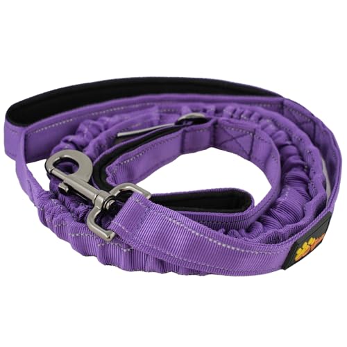 ADITYNA Leash in 6ft - 7.5ft, Purple