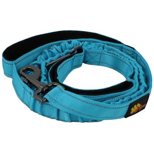 ADITYNA Leash in 6ft to 7.5ft, Blue