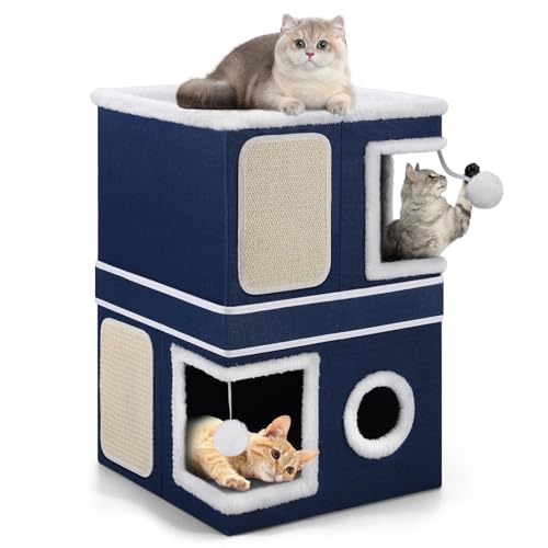 Shikha Animal Shelter in Double, Blue