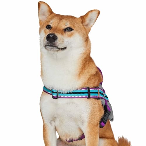 Blueberry Pet Animal Harness in Medium, Blue-gray and Olive