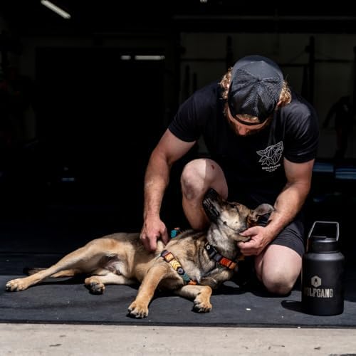 Wolfgang Man & Beast Animal Harness in Large (1 Inch x 20-30 Inch), ChevTech Print