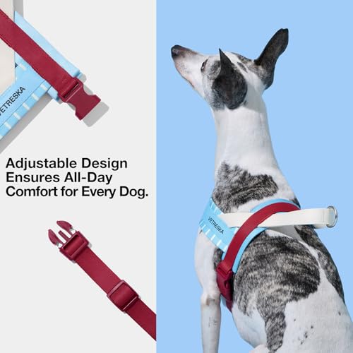 VETRESKA Animal Harness in XS(Chest: 16.9"-22"), Mist & Merlot