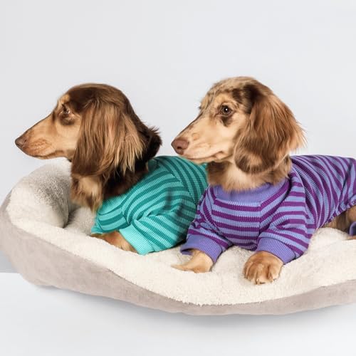 Fitwarm Pet Apparel in X-Small, DarkCyan