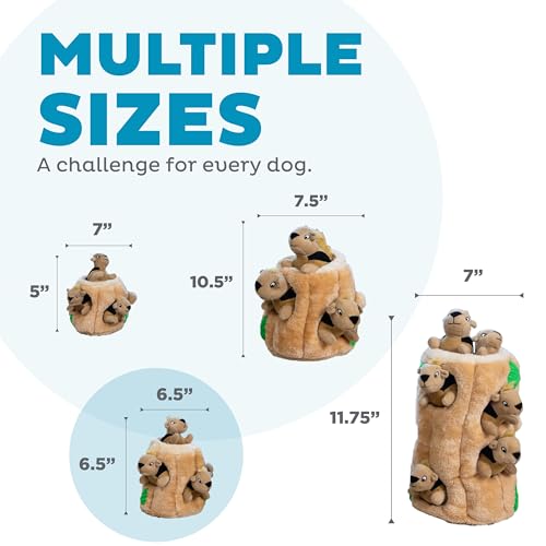 Outward Hound Pet Toy in Medium (Pack of 12), Squirrel Medium