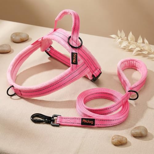 Didog Leash in 3/4''x 4 FT, Pink