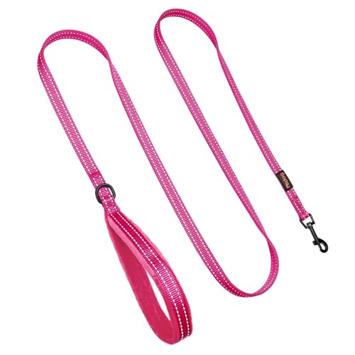 Didog Leash in 5/8''x 6 FT, Hot Pink