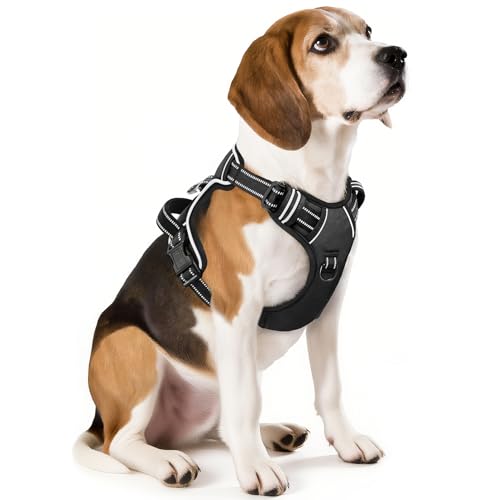 HEELE Animal Harness in M, Black