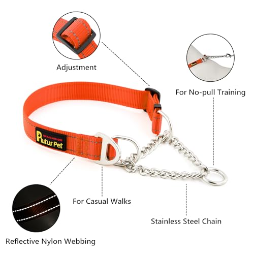 PLUTUS PET Animal Collar in Small, Orange