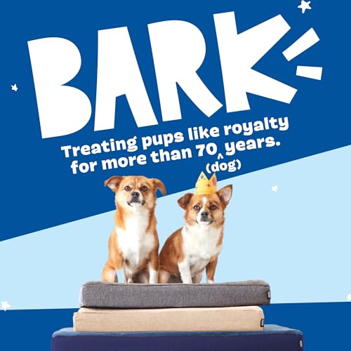 BarkBox Pet Bed Mat in Small, Grey