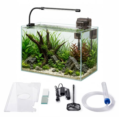 minilake Vivarium in 5 Gallon, Transparent