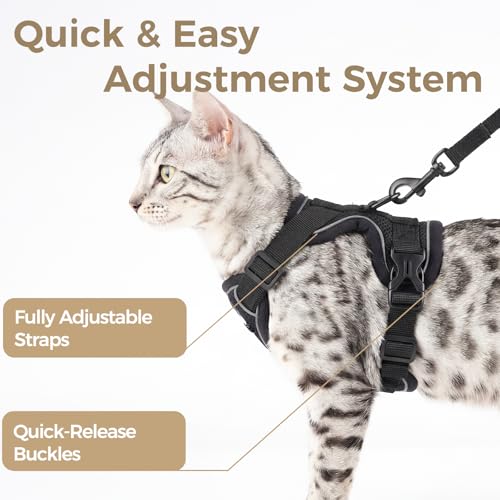 pangdi Animal Harness in Small, Black