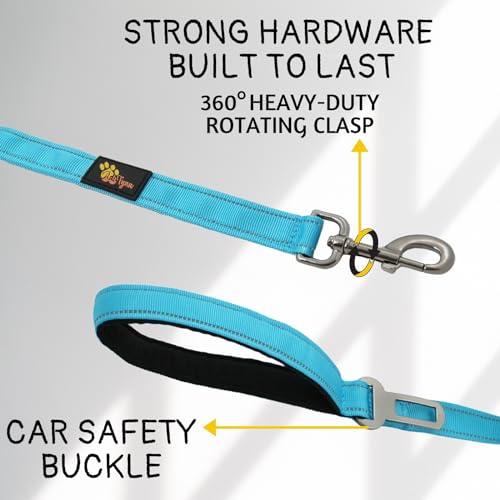 ADITYNA Leash in 6ft to 7.5ft, Blue