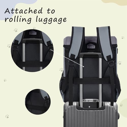 ANILD Animal Carrier in Dark Grey