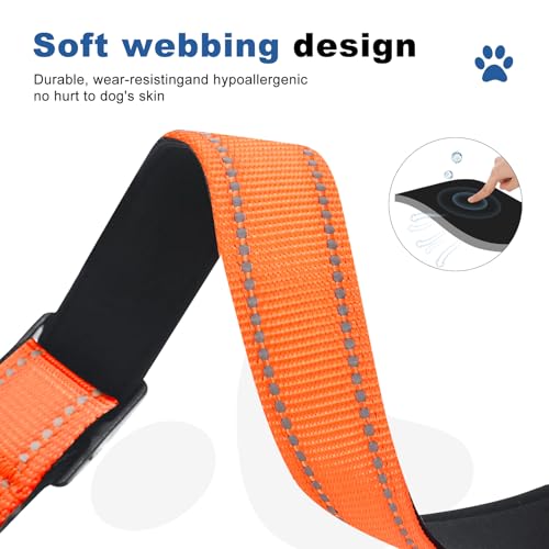 GDLKPS Animal Collar in XS:3/4" Wide for 11.5"-13.5" Neck, Orange
